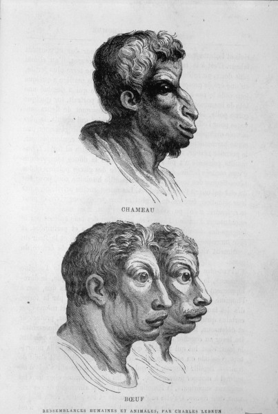 Ähnlichkeiten zw. Mensch u.Tier/Le Brun od Charles Le Brun