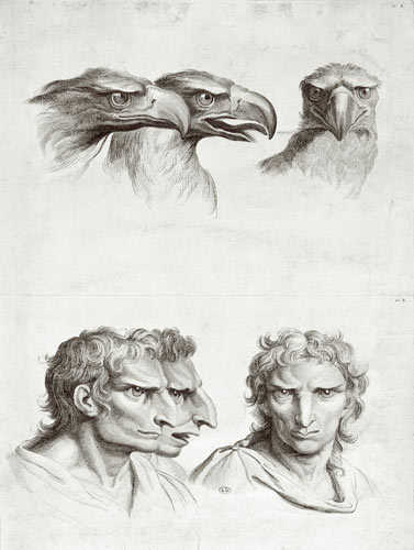 Similarities Between the Head of an Eagle and a Man, from 'Livre de portraiture pour ceux qui commen od Charles Le Brun