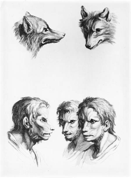 Similarities Between the Head of a Wolf and a Man, from 'Livre de portraiture pour ceux qui commence od Charles Le Brun