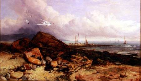 Shore Scene with Fishing Boat and Terns od Charles Napier Hemy
