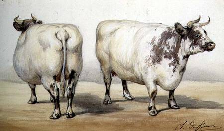 Study of two long-horned cows od Charles Oliver de Penne
