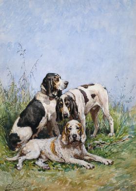 A Group of French Hounds