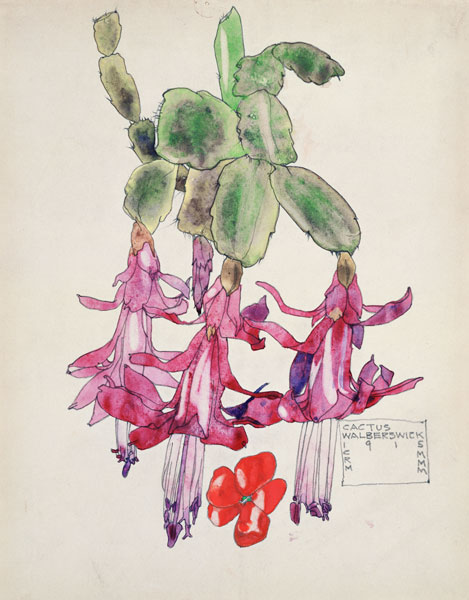 Cactus Flower od Charles Rennie Mackintosh