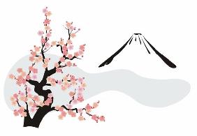 Třešňový květ před horou Fuji
