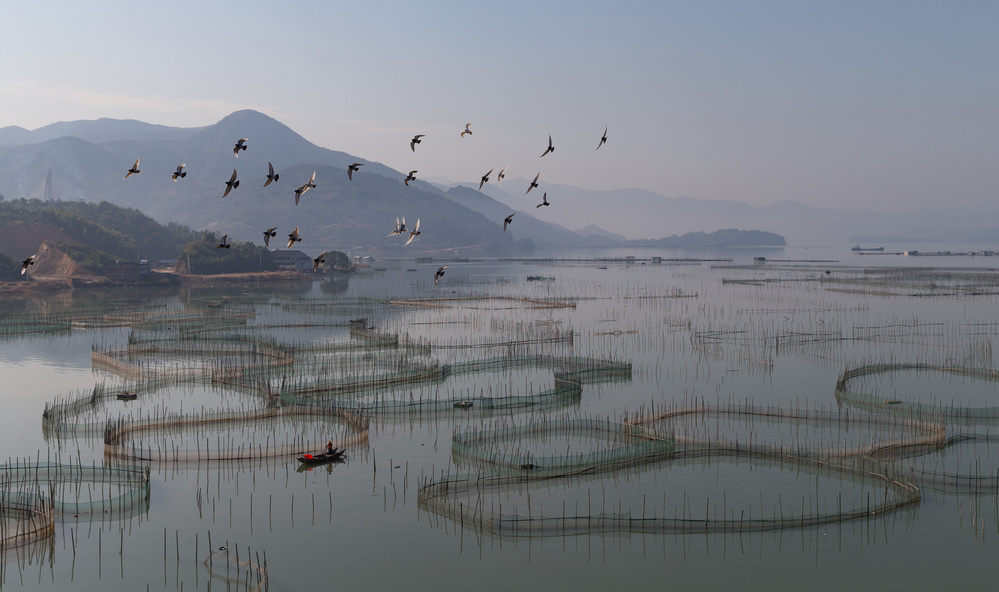 An aquaculture farm at Fuding od Cheng Chang