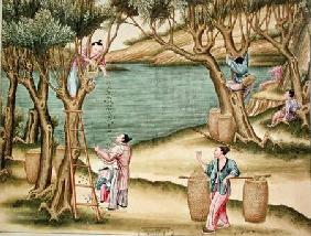 Collecting mulberries, from a book on the silk industry