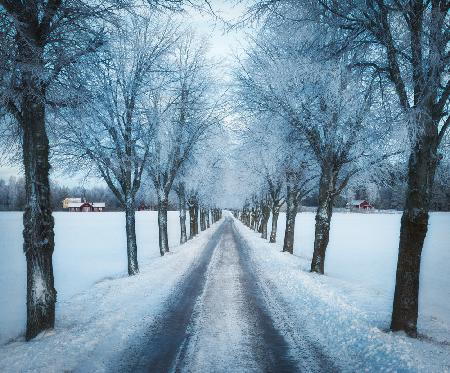 Swedish winter