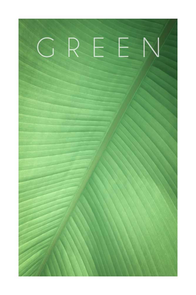 Green 01 od Christian Müringer
