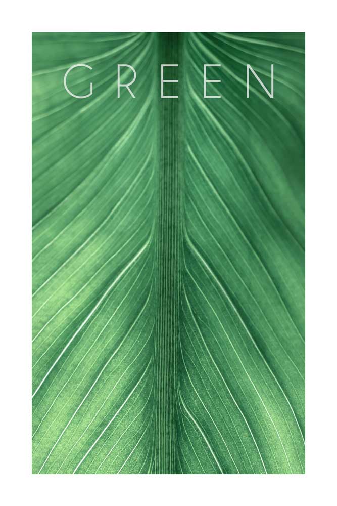 Green 03 od Christian Müringer