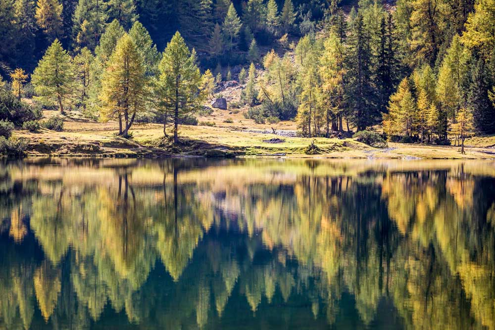 Autumn forest at the Duisitzkarsee in the Schladming Mountains od Christian Müringer