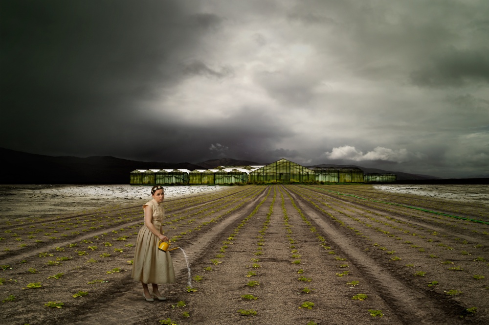 The farm od Christine Von Diepenbroek