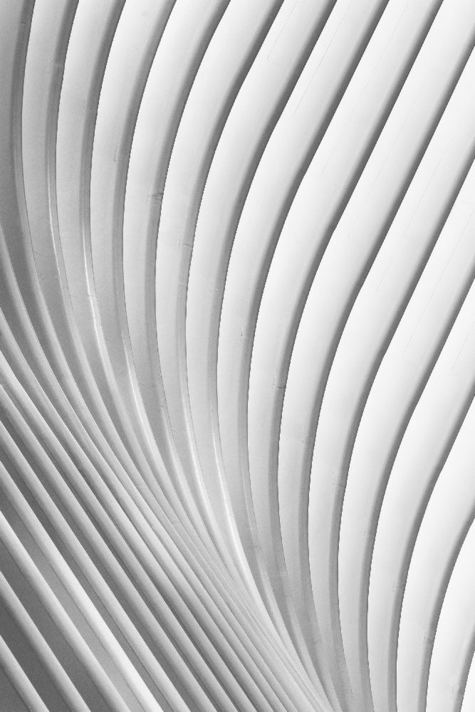 Calatrava Lines od Christopher Budny