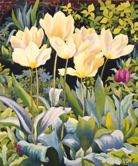 Pale Tulips od Christopher  Ryland