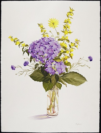 Blue Hydrangea with Yellow Loosestrife (w/c)  od Christopher  Ryland
