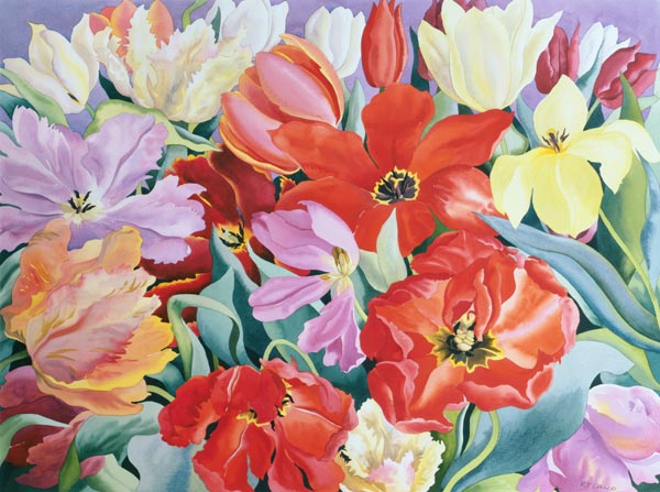 Massed Tulips od Christopher  Ryland