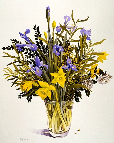 Spring Flowers od Christopher  Ryland