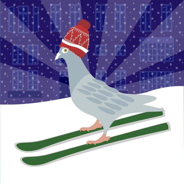 Skiing Pigeon od Claire Huntley
