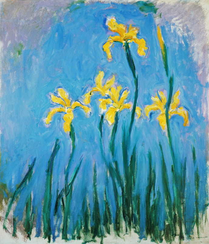 Yellow Iris. od Claude Monet