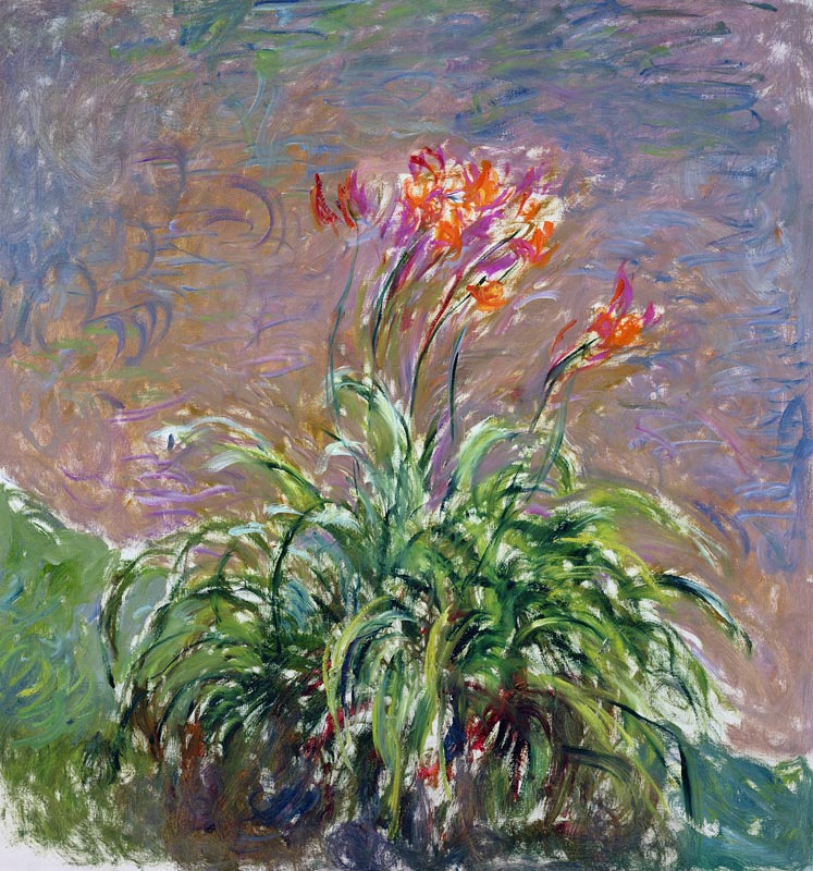 Hemerocallis od Claude Monet