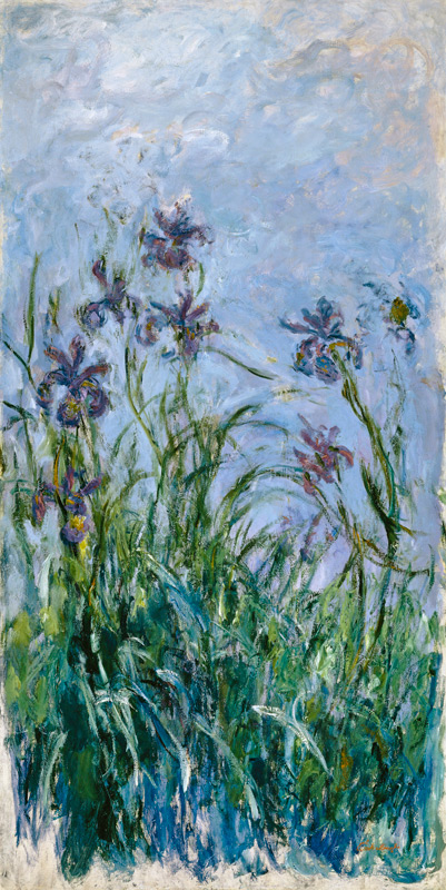 Iris Mauves od Claude Monet
