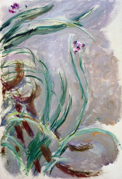 Iris od Claude Monet