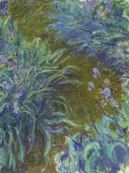 Irises od Claude Monet
