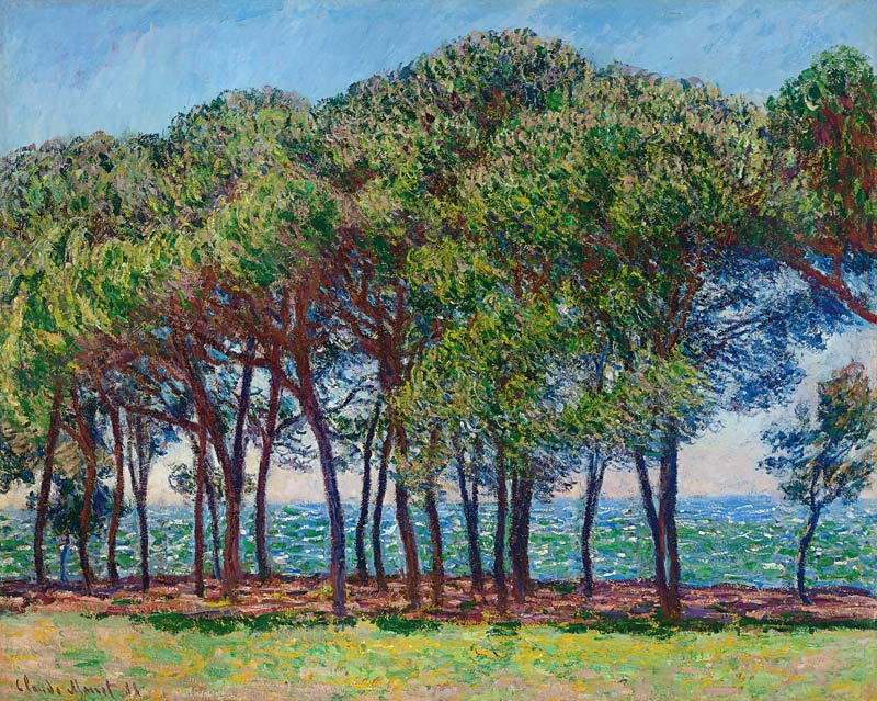 Kiefern am Cap d'Antibes od Claude Monet