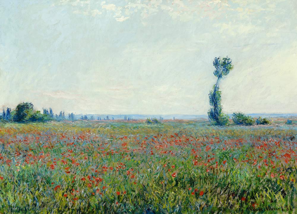 Poppy field od Claude Monet