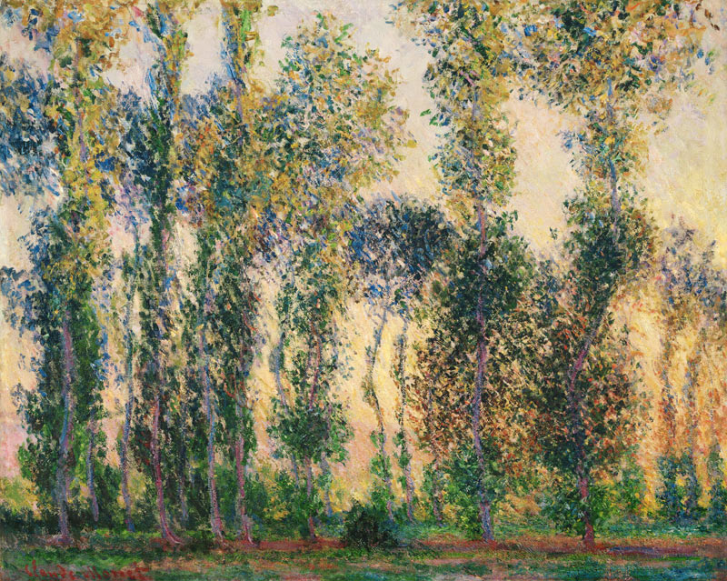 Poplars at Giverny od Claude Monet