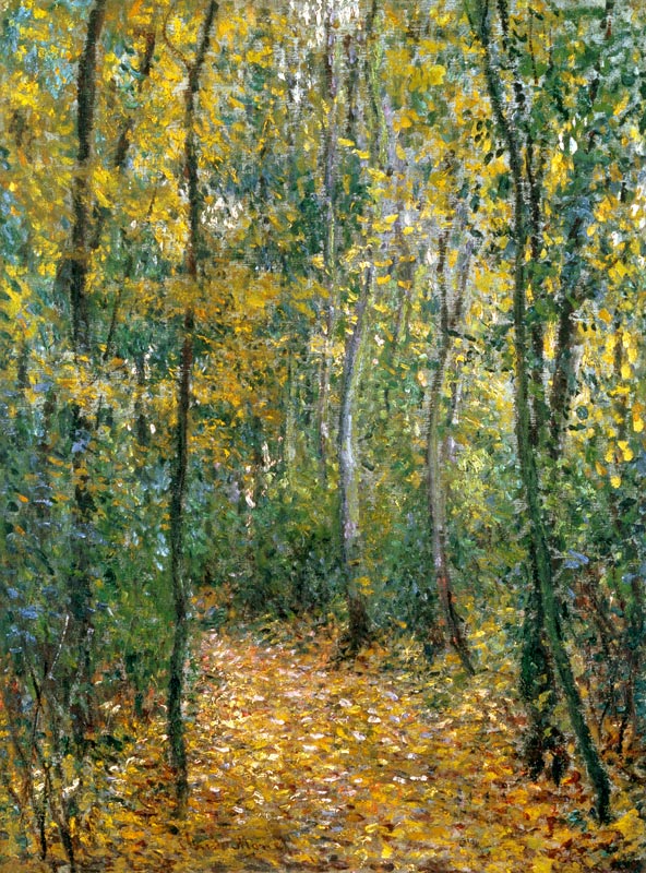 “Sous-bois” (Unterholz), Montgeron od Claude Monet