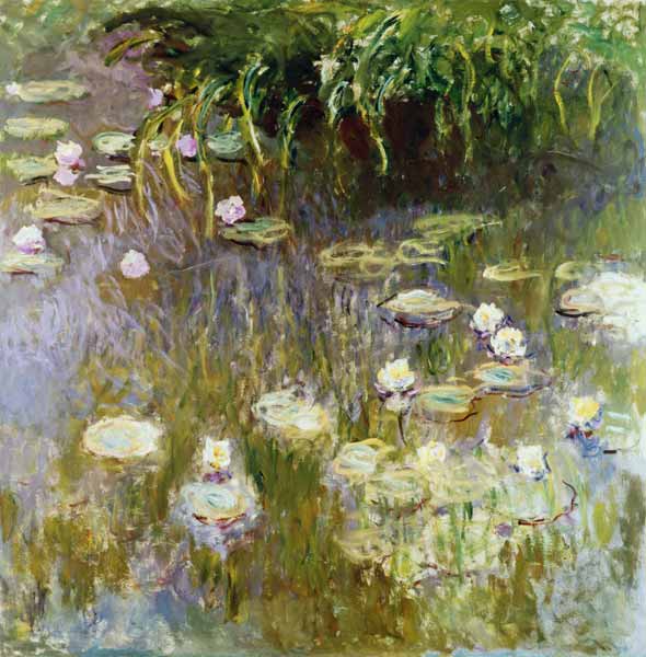 Waterlilies at Midday od Claude Monet