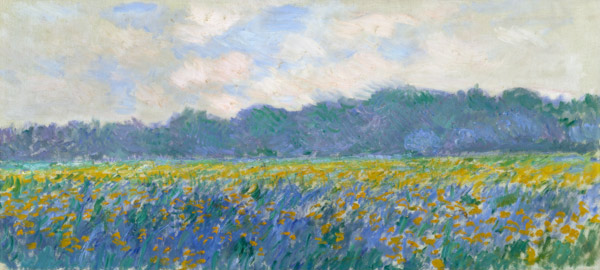 Field of Yellow Irises at Giverny od Claude Monet