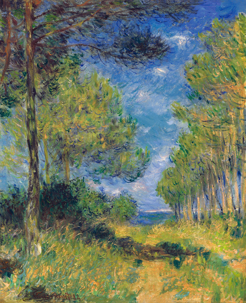 Nadelbäume in Varengeville od Claude Monet