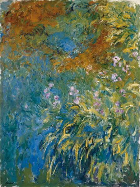 Yellow Iris. od Claude Monet