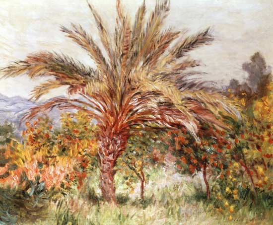 Palm Tree at Bordighera od Claude Monet