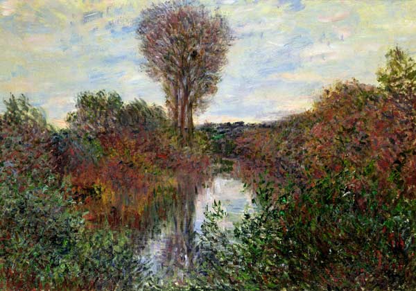 Small Branch of the Seine od Claude Monet