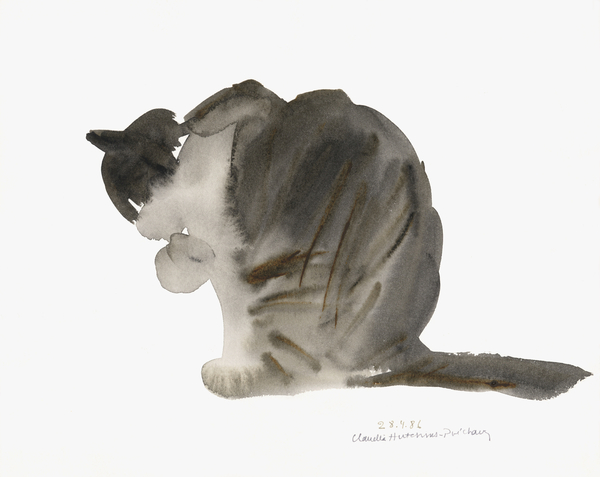 Cat od Claudia Hutchins-Puechavy