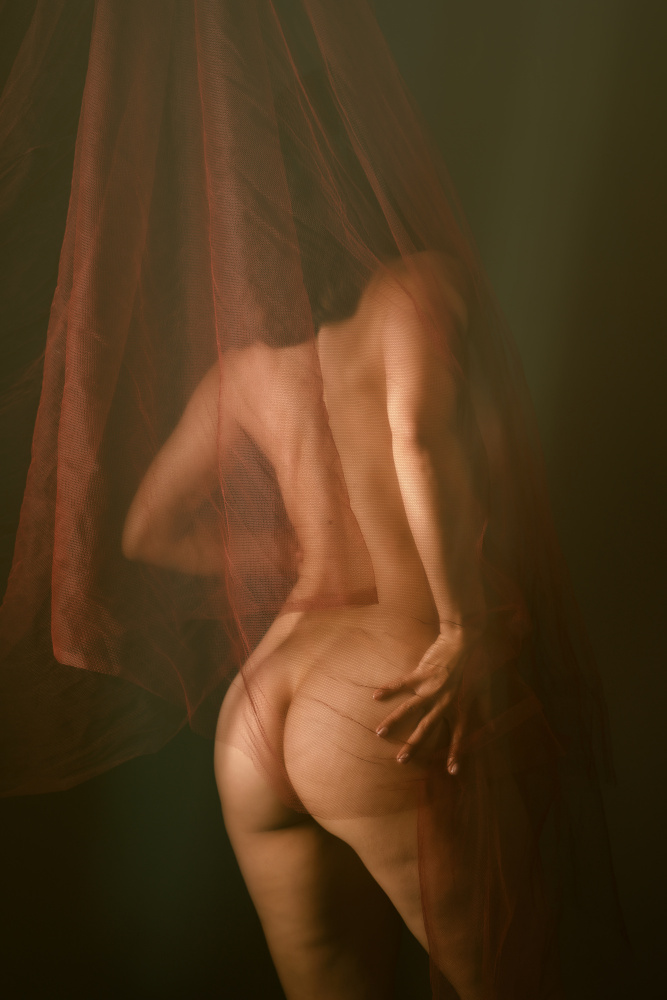 Anonymous Nude 5 od Colin Dixon