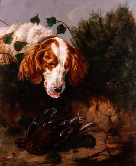 Just Shot - Spaniel with a Dead Grouse od Colin Graeme