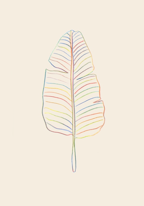 Banana Rainbow Leaf od Graphic Collection