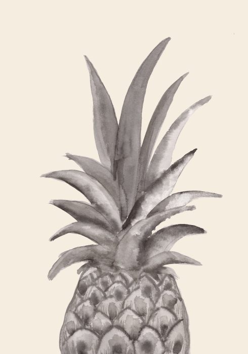 Ink Pineapple od Graphic Collection