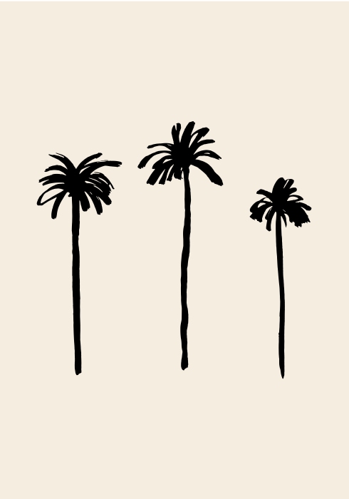 Palm Trees od Graphic Collection