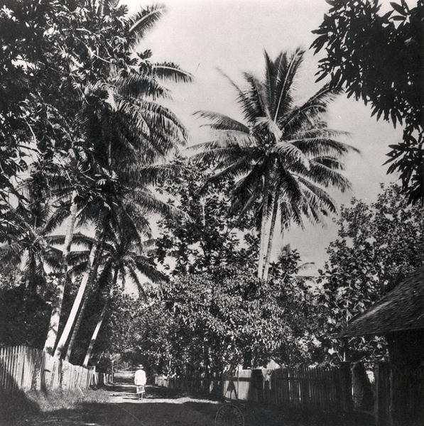 A Street in Papeete, from ''Tahiti'', published in London, 1882 (b/w photo)  od Colonel Stuart-Wortley