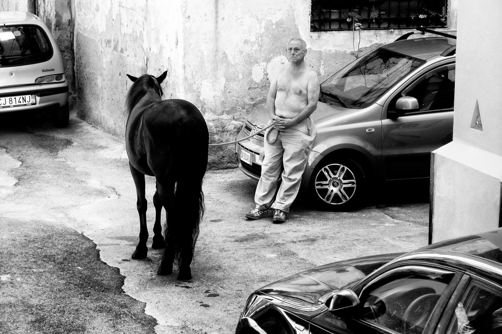 Man with Horse in Palermo Sicily od Constantine Matsos