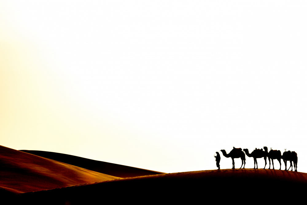 Sahara desert od Corinne Spector