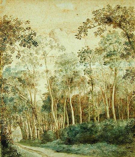 Wooded Landscape (pen and brown ink and w/c on paper) od Cornelis Vroom