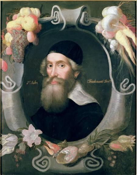 John Tradescant the Elder (1570-c.1638) od Cornelius de Neve