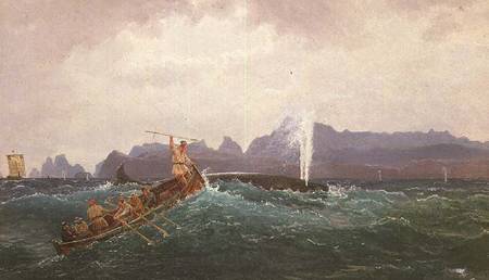 A Whaling Scene od Cornelius Krieghoff