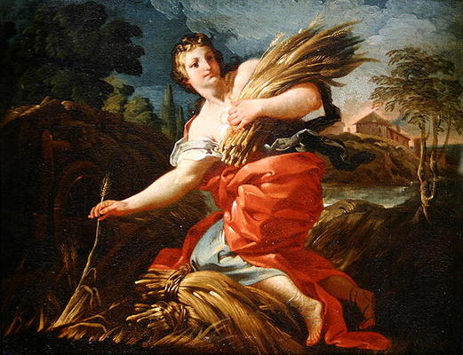Ruth the Gleaner (oil on canvas) od Corrado Giaquinto