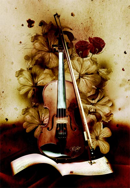 Violon od Chrystelle Coupat